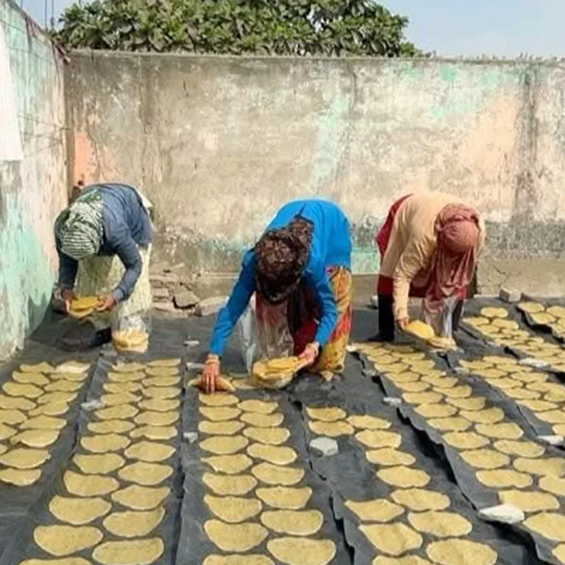 Village women laying out rows of papad to dry in the sun